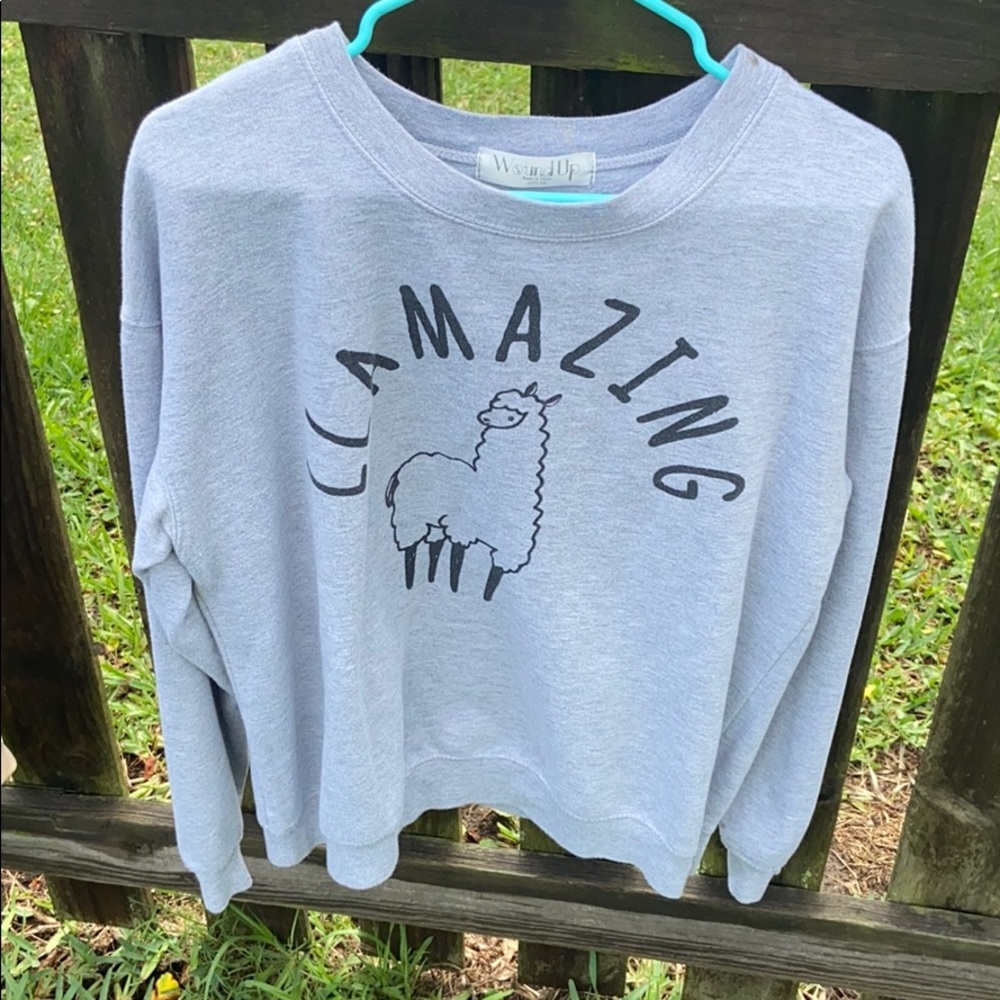 🎉LLAMAZING🎉 3/$20 Super cute sweater!